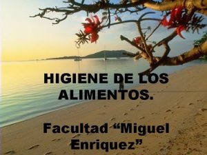HIGIENE DE LOS ALIMENTOS Facultad Miguel Enriquez Asignatura