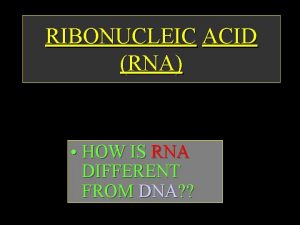 RIBONUCLEIC ACID RNA HOW IS RNA DIFFERENT FROM