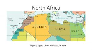 North Africa Algeria Egypt Libya Morocco Tunisia Roots