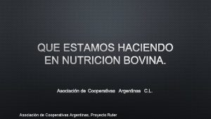 QUE ESTAMOS HACIENDO EN NUTRICIN BOVINA ASOCIACIN DE