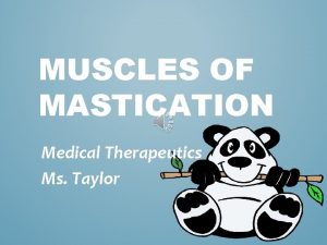 MUSCLES OF MASTICATION Medical Therapeutics Ms Taylor DID