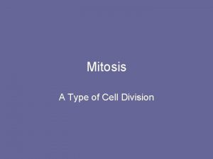 Mitosis A Type of Cell Division Mitosis One