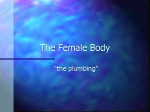 The Female Body the plumbing Uterus n The