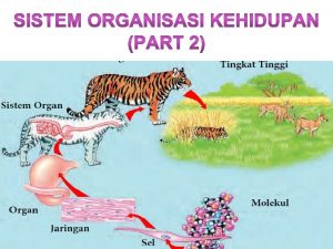 KOMPETENSI DASAR 3 6 Mengidentifikasi sistem organisasi kehidupan