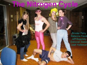 The Nitrogen Cycle Brooke Perry Rebecca Faust Jeff