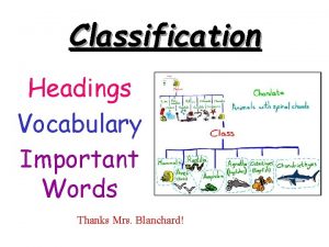 Classification Headings Vocabulary Important Words Thanks Mrs Blanchard