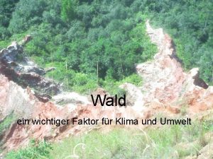 Wald ein wichtiger Faktor fr Klima und Umwelt