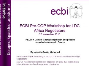 european capacity building initiative ecbi ECBI PreCOP Workshop