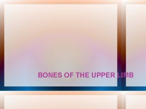 BONES OF THE UPPER LIMB OBJECTIVES To learn