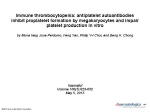 Immune thrombocytopenia antiplatelet autoantibodies inhibit proplatelet formation by