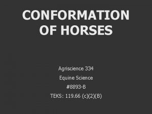 CONFORMATION OF HORSES Agriscience 334 Equine Science 8893
