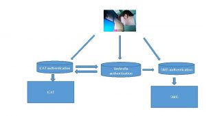 ICAT authentication ICAT Umbrella authentication SMIS Some figures