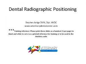 Dental Radiographic Positioning Stephen Juriga DVM Dipl AVDC