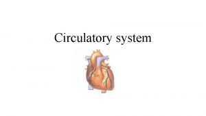 Circulatory system The Hearts function The hearts function