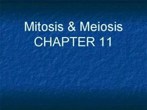 Mitosis Meiosis CHAPTER 11 CHROMOSOMES n n Chromosome