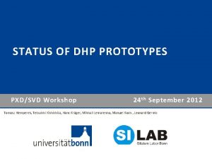 STATUS OF DHP PROTOTYPES PXDSVD Workshop 24 th
