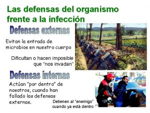 Las defensas del organismo frente a la infeccin