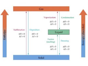 Vapor Pressure and Boiling Point Liquids boil when