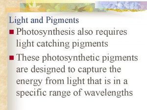 Light and Pigments n Photosynthesis also requires light