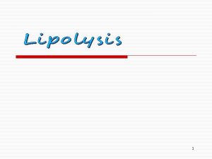 1 Triacylglycerols TG are degraded by hydrolysis lipolysis