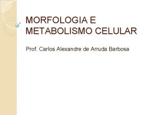 MORFOLOGIA E METABOLISMO CELULAR Prof Carlos Alexandre de