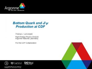 Bottom Quark and Jy Production at CDF Thomas