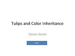 Tulips and Color Inheritance Steven Barati Next The