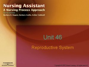 Unit 46 Reproductive System Copyright 2008 Delmar Learning