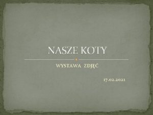 NASZE KOTY WYSTAWA ZDJ 17 02 2021 Zdoby