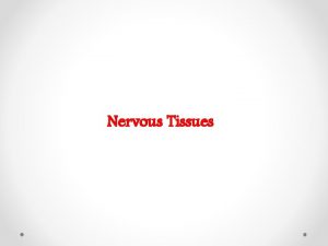 Nervous Tissues Structure of neuron A neuron is
