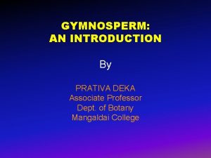 GYMNOSPERM AN INTRODUCTION By PRATIVA DEKA Associate Professor