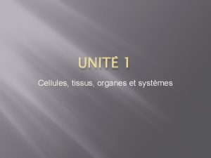 UNIT 1 Cellules tissus organes et systmes 1