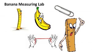 Banana Measuring Lab Banana Lab Discussion Portion Error