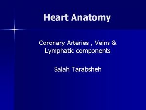 Heart Anatomy Coronary Arteries Veins Lymphatic components Salah