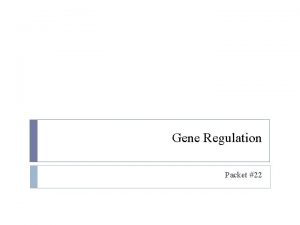 Gene Regulation Packet 22 Prokaryotic vs Eukaryotic Why