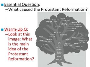 Essential Question What caused the Protestant Reformation WarmUp