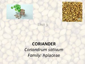 Unit 3 CORIANDER Coriandrum sativum Family Apiaceae Coriander