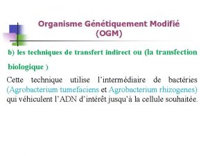 Organisme Gntiquement Modifi OGM b les techniques de