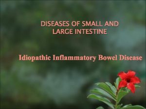 DISEASES OF SMALL AND LARGE INTESTINE Idiopathic Inflammatory