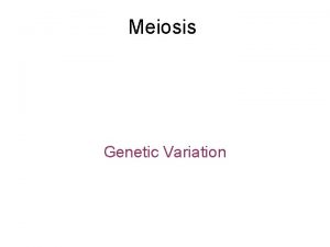 Meiosis Genetic Variation Homologous Chromosomes homologous chromosomes a