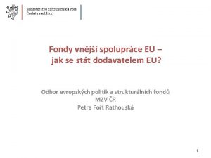 Fondy vnj spoluprce EU jak se stt dodavatelem