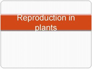 Reproduction in plants What is reproduction Reproduction is