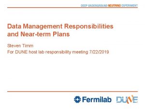 Data Management Responsibilities and Nearterm Plans Steven Timm