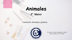 Animales 3 Bsico Contenido Animales y plantas Profesora