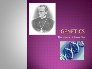 The study of heredity Heredity passing of traits