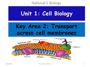 National 5 Biology Unit 1 Cell Biology Key