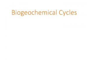 Biogeochemical Cycles Producers Decomposers Primary Consumers Secondary Consumers