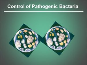 Control of Pathogenic Bacteria Bacteria spread in various