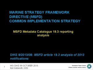 MARINE STRATEGY FRAMEWORK DIRECTIVE MSFD COMMON IMPLEMENTATION STRATEGY