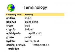 Terminology Combining Form Meaning andro male balano glans